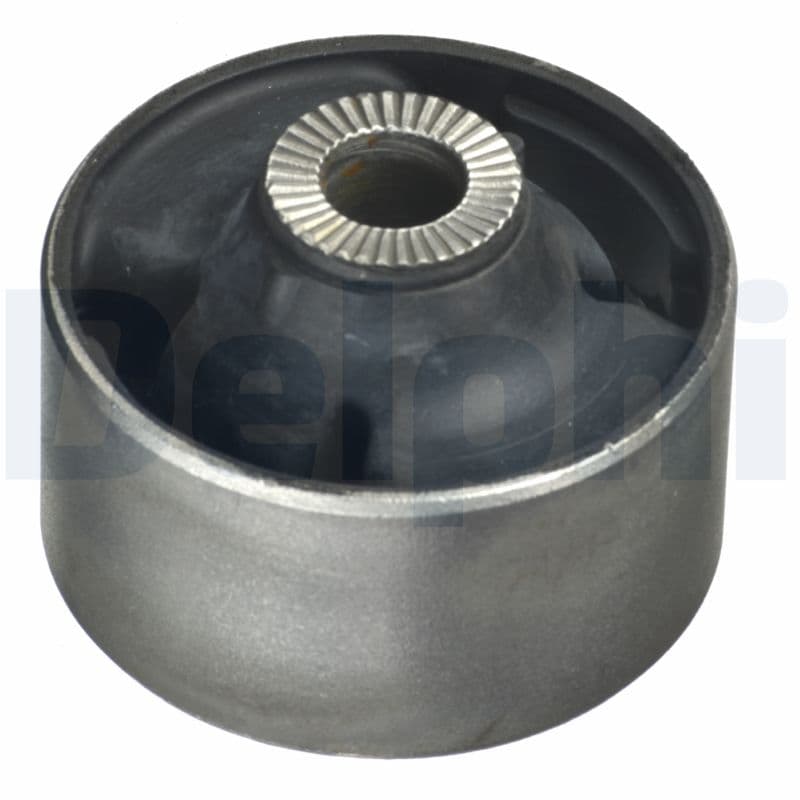 DELPHI Uloženie riadenia TD1379W 1