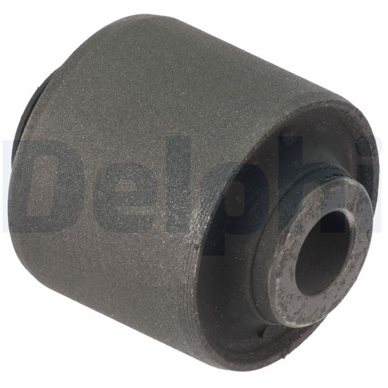 DELPHI Uloženie riadenia TD1475W 1
