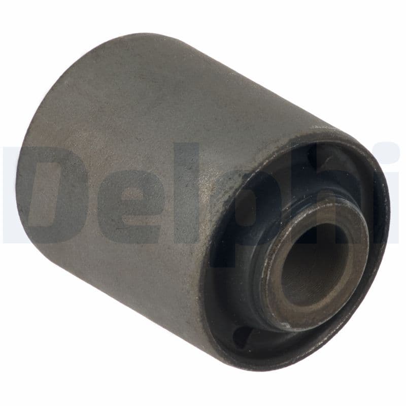 DELPHI Uloženie riadenia TD1478W 1