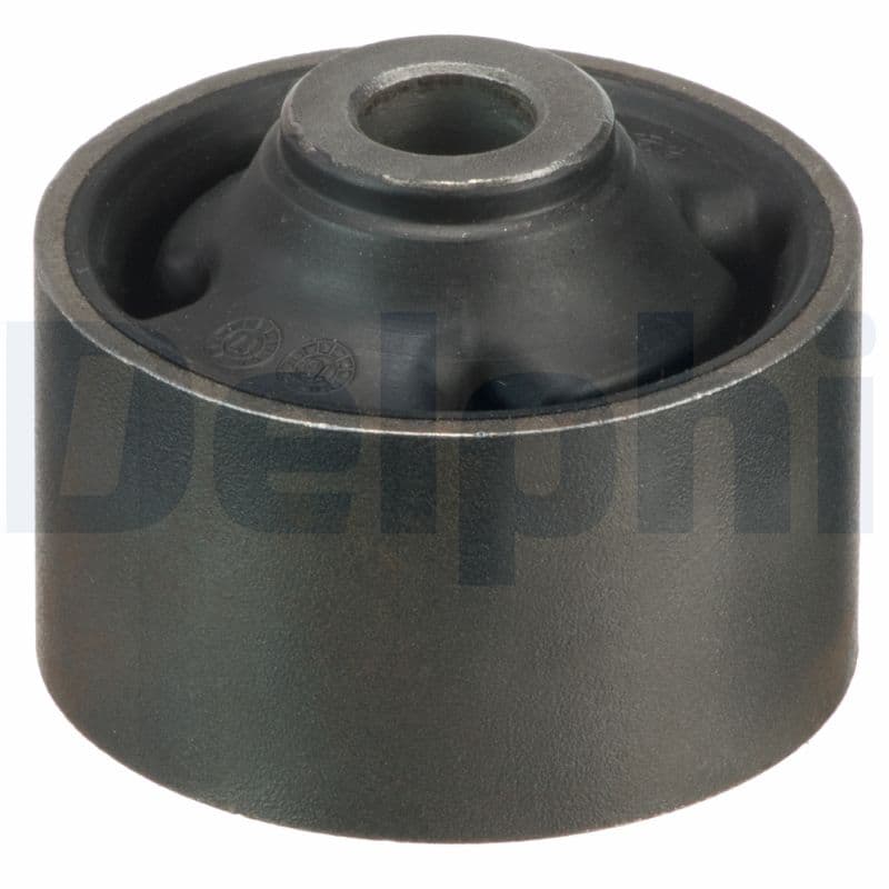 DELPHI Uloženie riadenia TD1485W 1