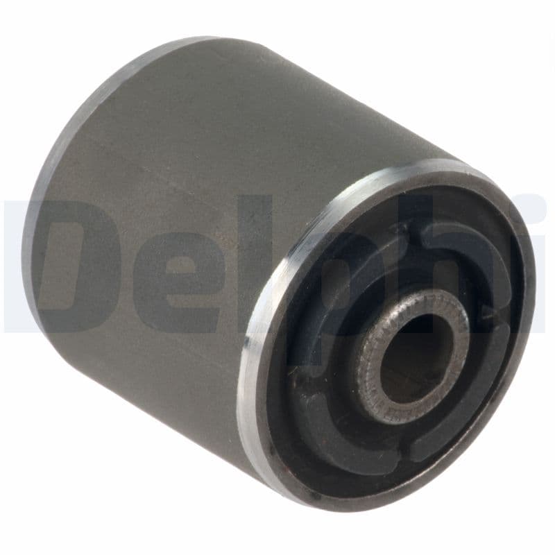 DELPHI Uloženie riadenia TD1487W 1
