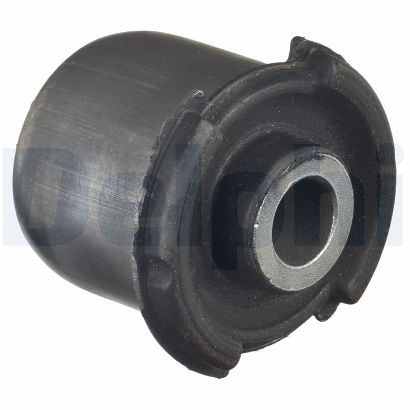 DELPHI Uloženie riadenia TD1496W 1