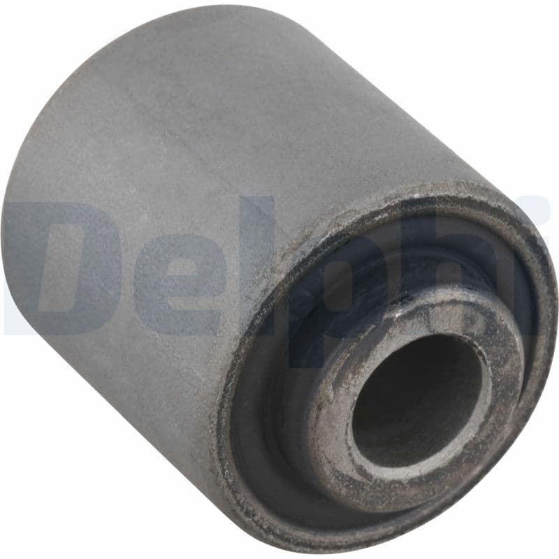DELPHI Uloženie riadenia TD1502W 1