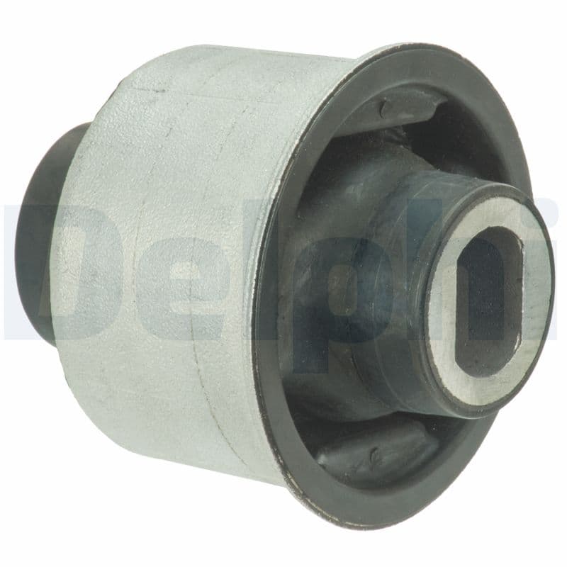 DELPHI Uloženie riadenia TD1618W 1
