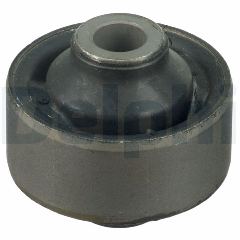 DELPHI Uloženie riadenia TD1621W 1