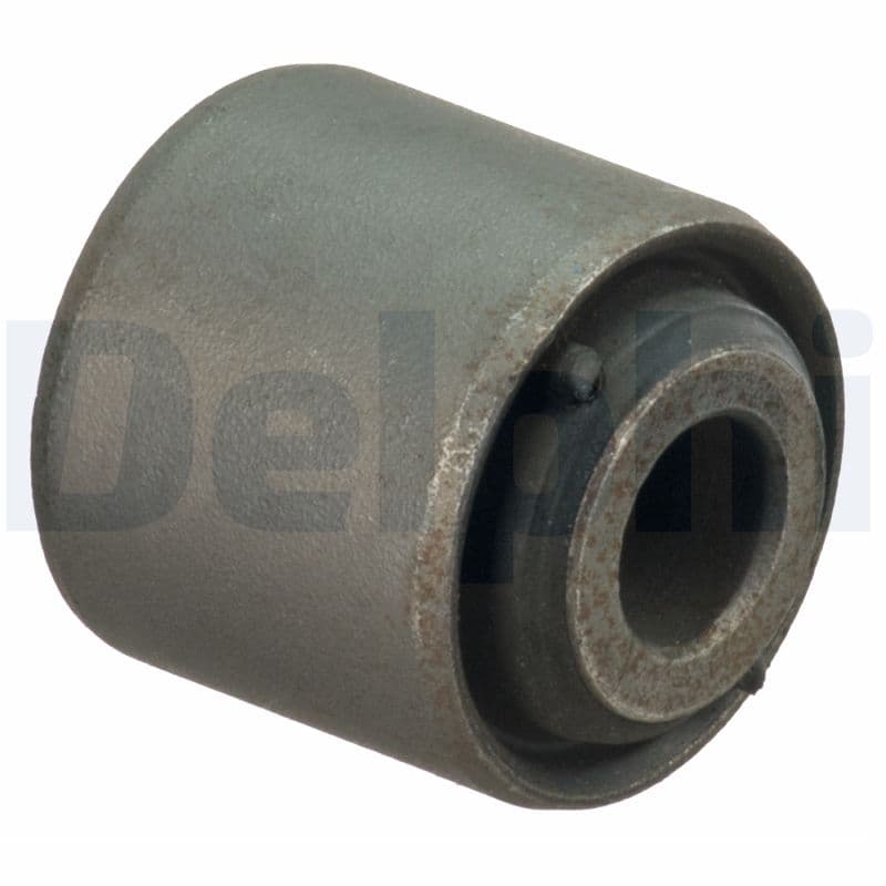 DELPHI Uloženie riadenia TD1631W 1