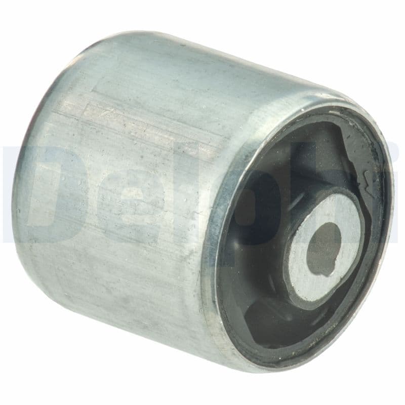 DELPHI Uloženie riadenia TD1633W 1