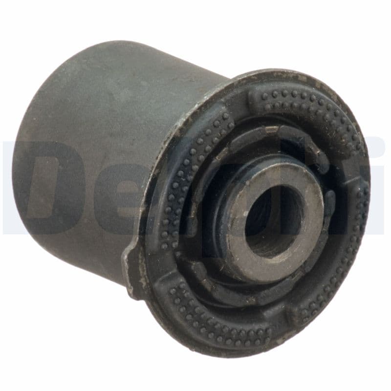 DELPHI Uloženie riadenia TD1642W 1