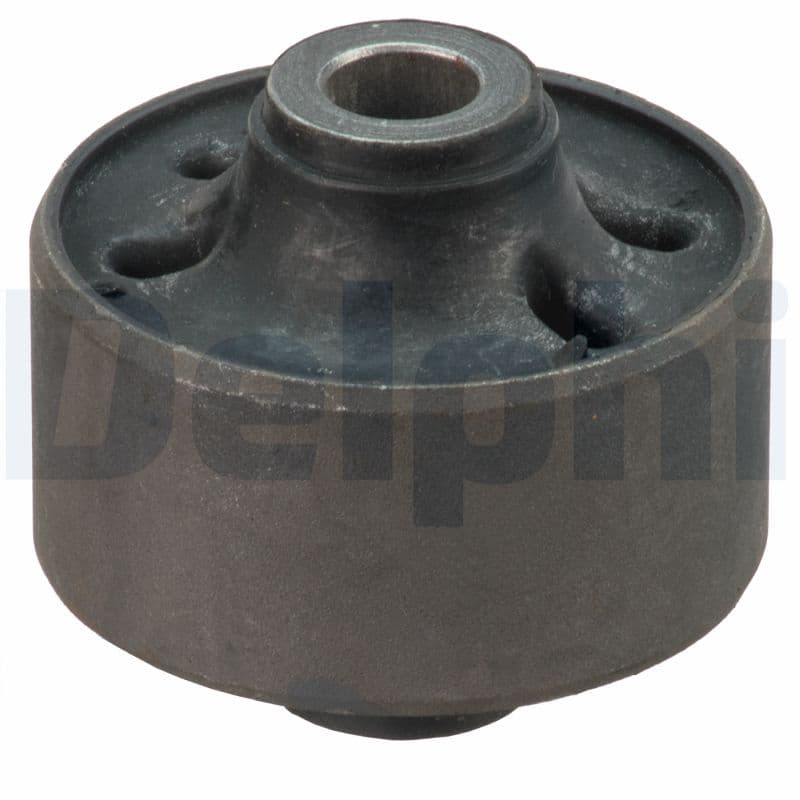 DELPHI Uloženie riadenia TD1643W 1