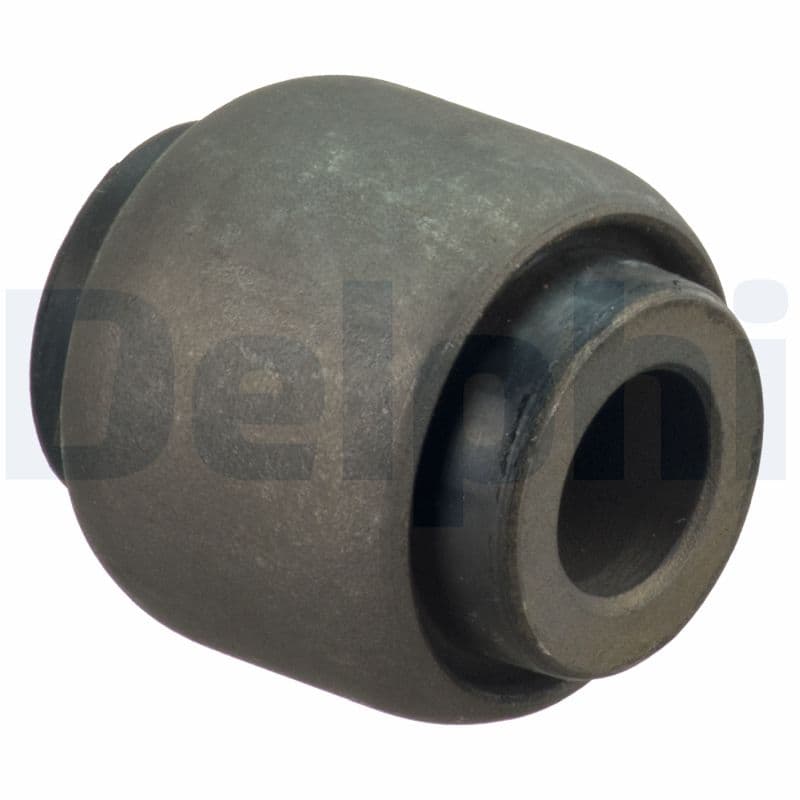 DELPHI Uloženie riadenia TD1644W 1