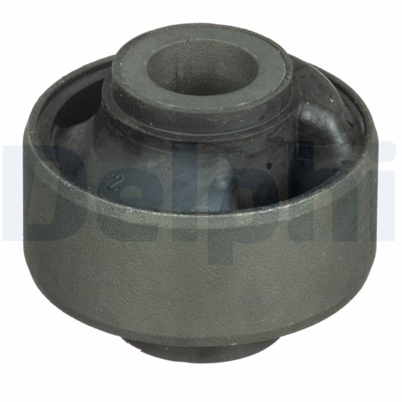 DELPHI Uloženie riadenia TD1646W 1