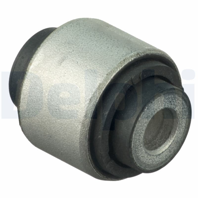 DELPHI Uloženie riadenia TD1652W 1