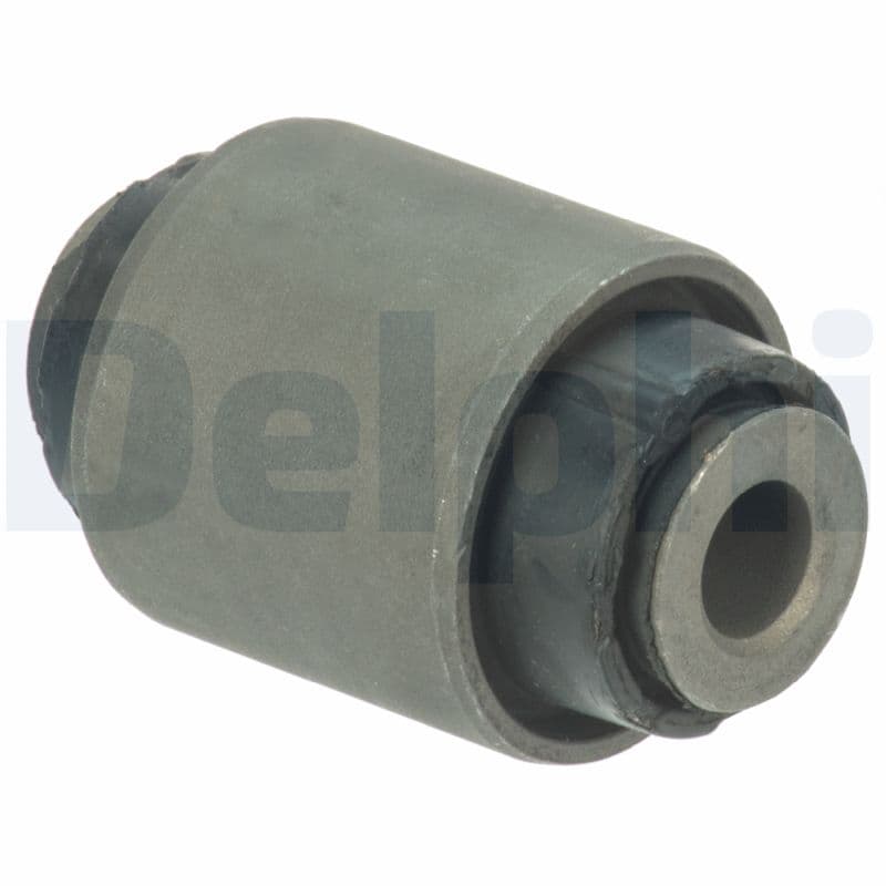 DELPHI Uloženie riadenia TD1655W 1