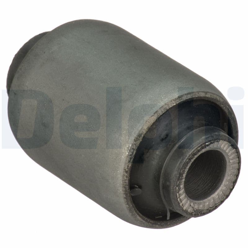 DELPHI Uloženie riadenia TD1674W 1