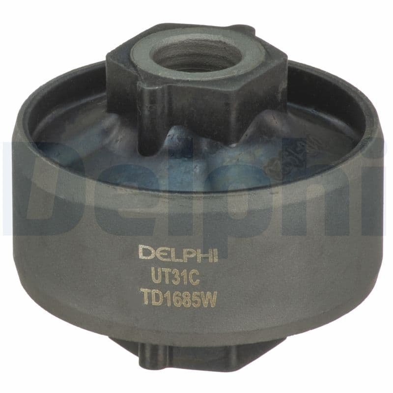 DELPHI Uloženie riadenia TD1685W 1