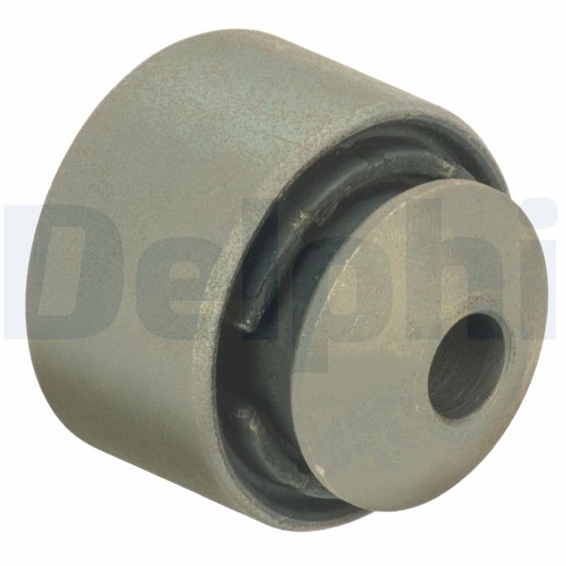 DELPHI Uloženie riadenia TD1687W 1
