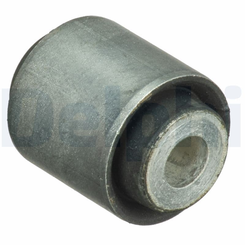 DELPHI Uloženie riadenia TD1689W 1
