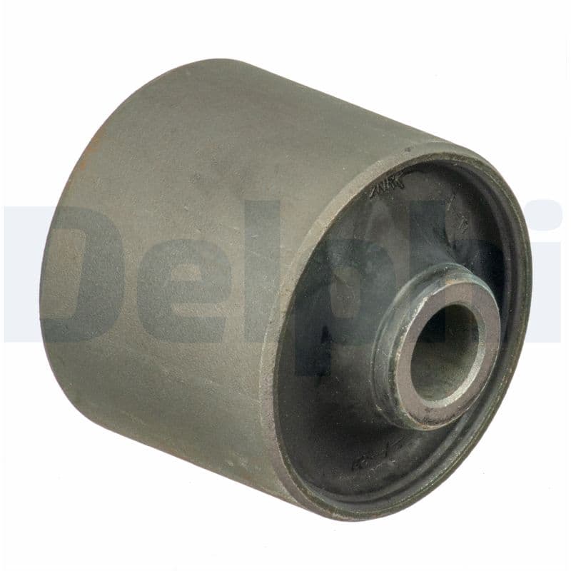 DELPHI Uloženie riadenia TD1691W 1