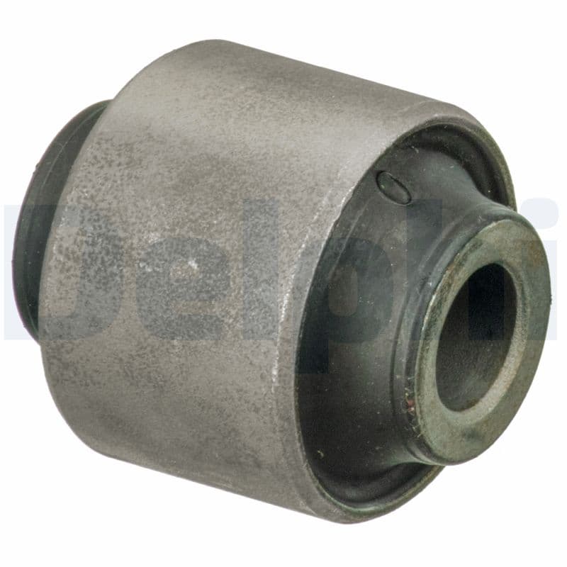DELPHI Uloženie riadenia TD1692W 1