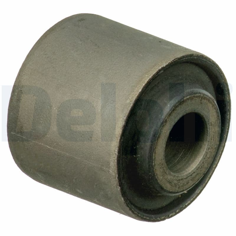 DELPHI Uloženie riadenia TD1696W 1