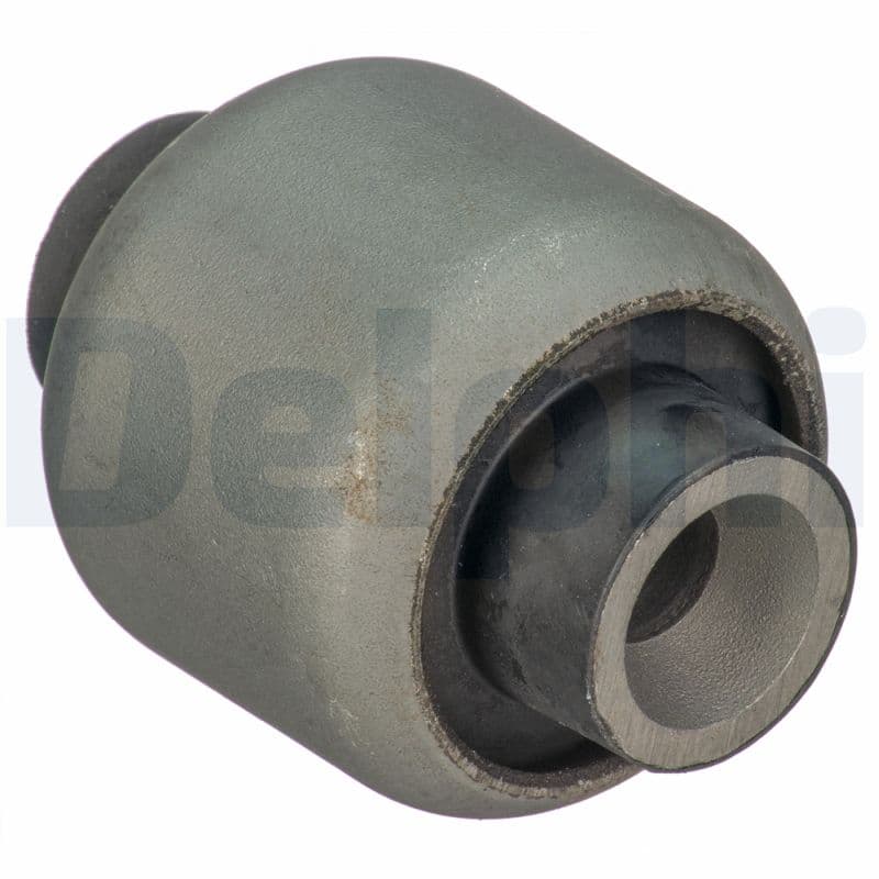 DELPHI Uloženie riadenia TD1701W 1