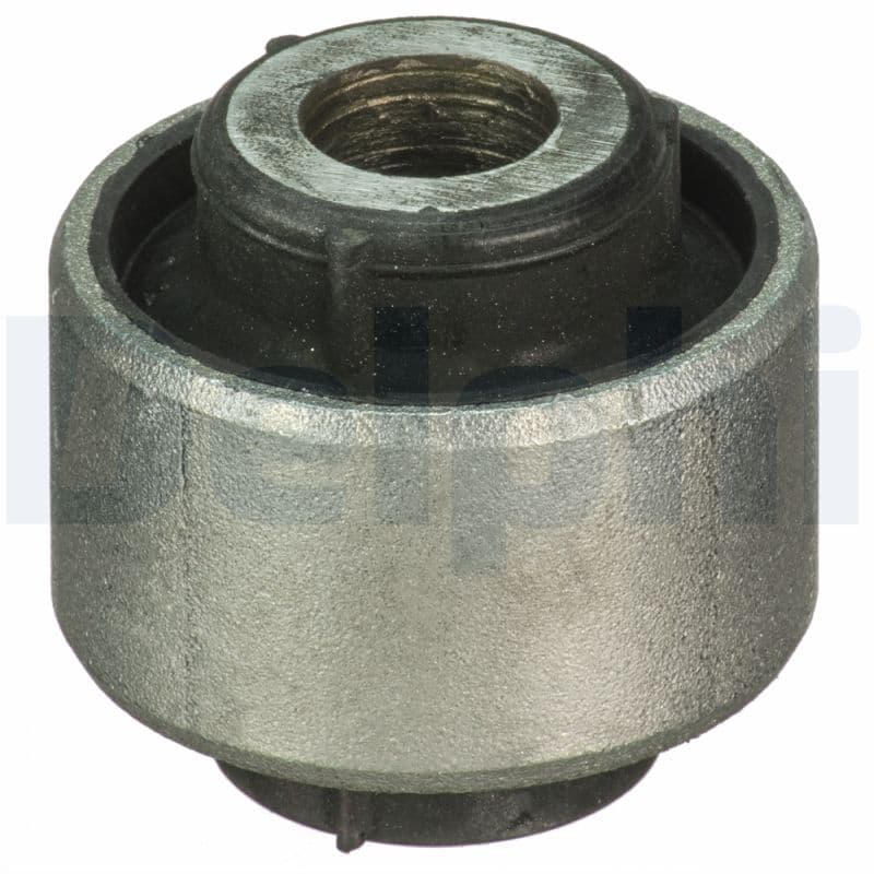 DELPHI Uloženie riadenia TD1702W 1