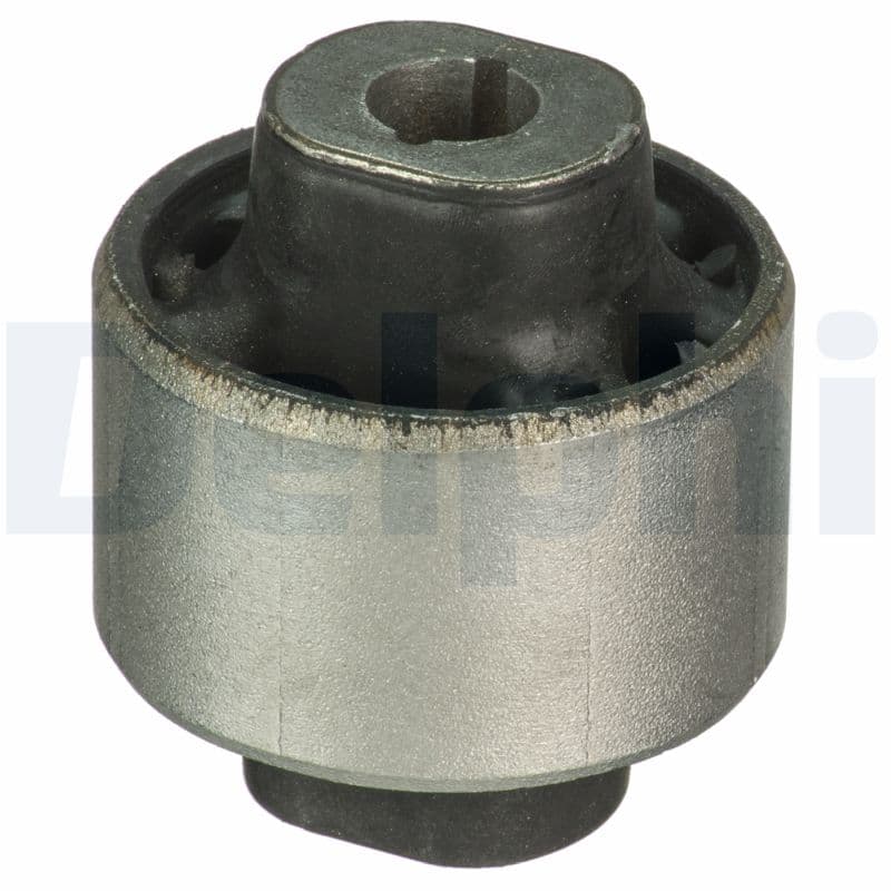 DELPHI Uloženie riadenia TD1703W 1