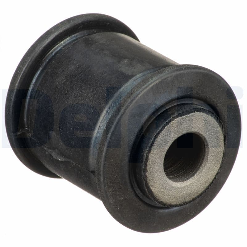 DELPHI Uloženie riadenia TD1706W 1