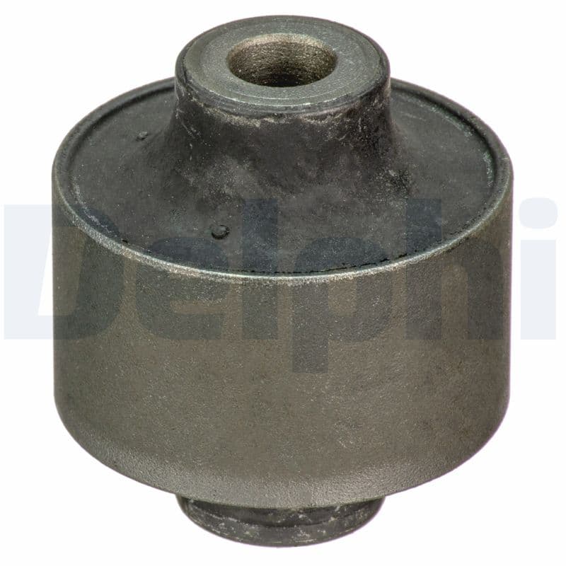 DELPHI Uloženie riadenia TD1707W 1