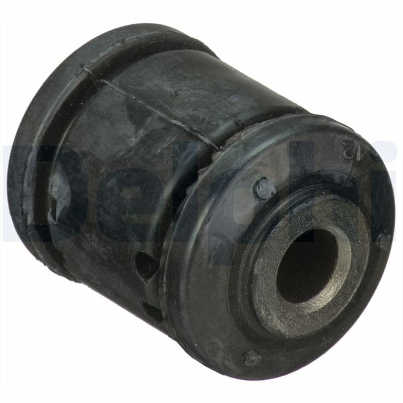 DELPHI Uloženie riadenia TD1708W 1