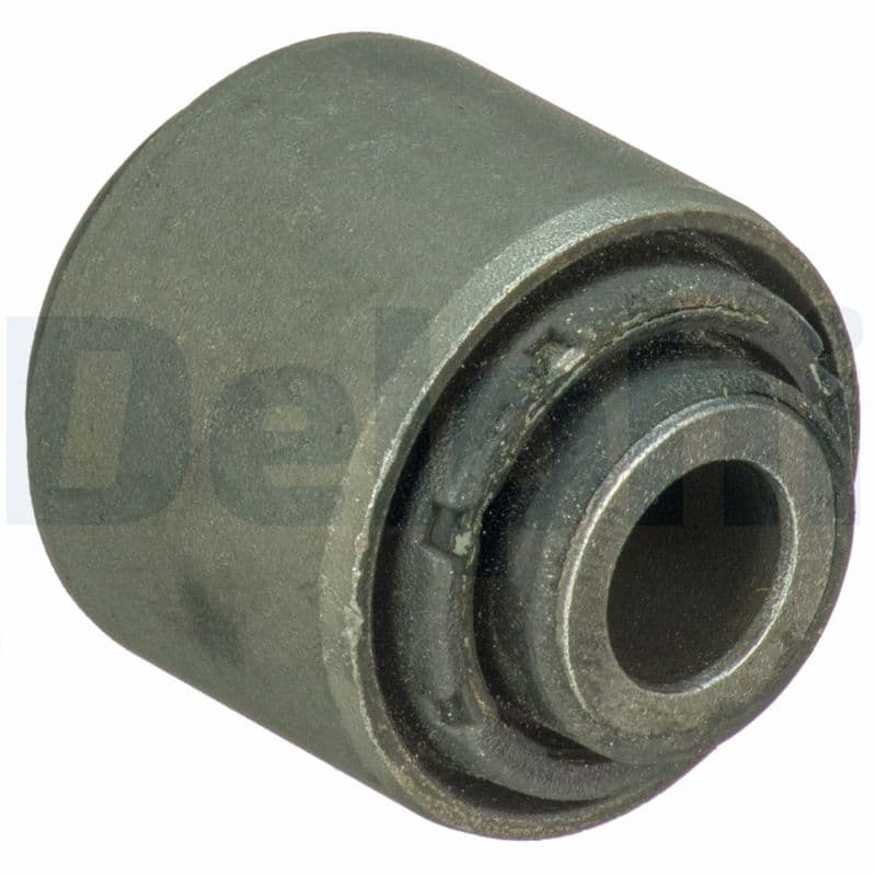 DELPHI Uloženie riadenia TD1717W 1