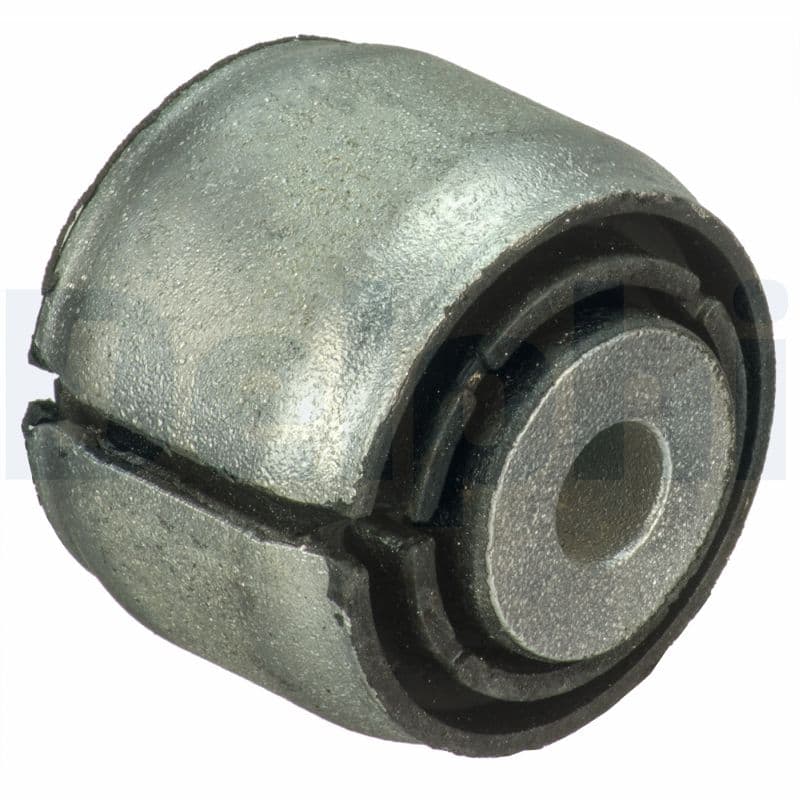 DELPHI Uloženie riadenia TD1721W 1