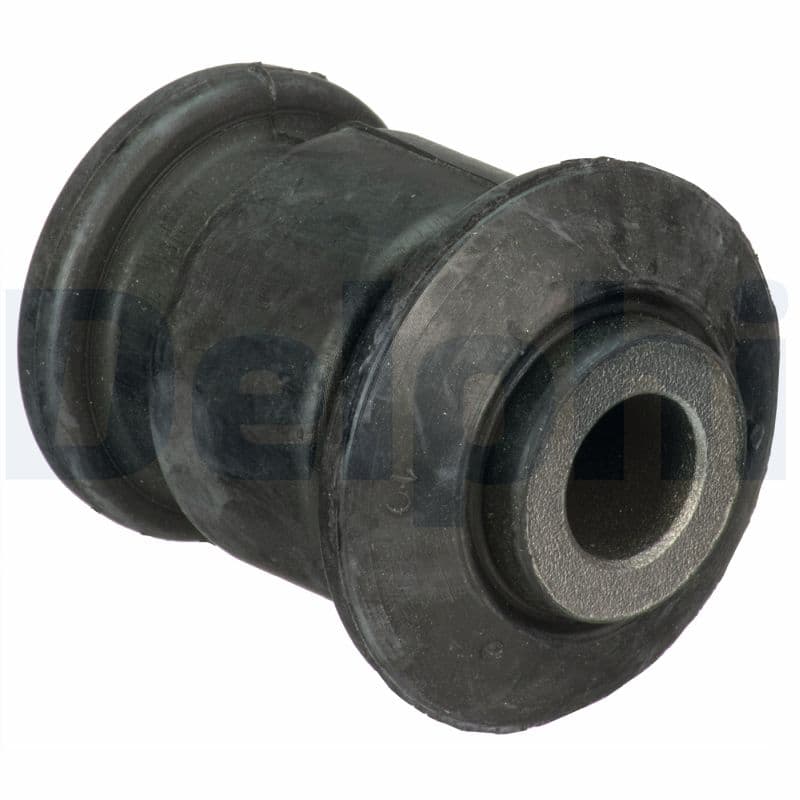DELPHI Uloženie riadenia TD1723W 1