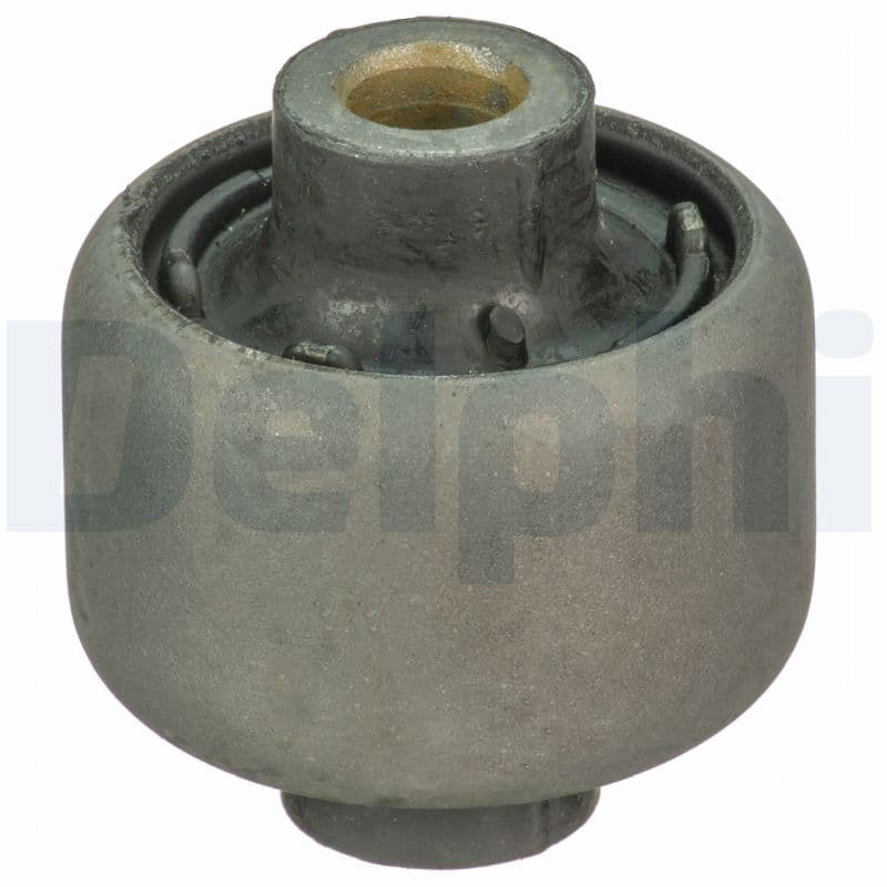DELPHI Uloženie riadenia TD1724W 1
