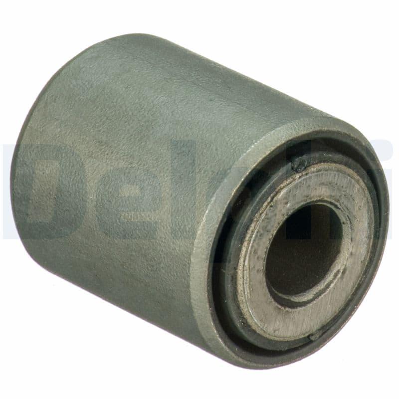 DELPHI Uloženie riadenia TD1733W 1