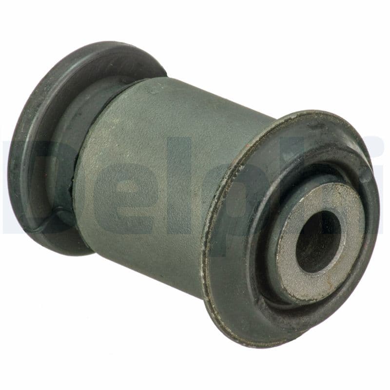 DELPHI Uloženie riadenia TD1742W 1