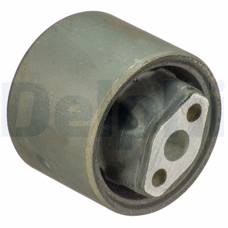DELPHI Uloženie riadenia TD1743W 1