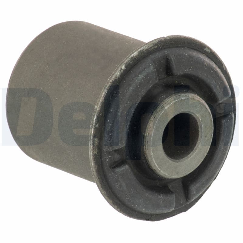 DELPHI Uloženie riadenia TD1756W 1