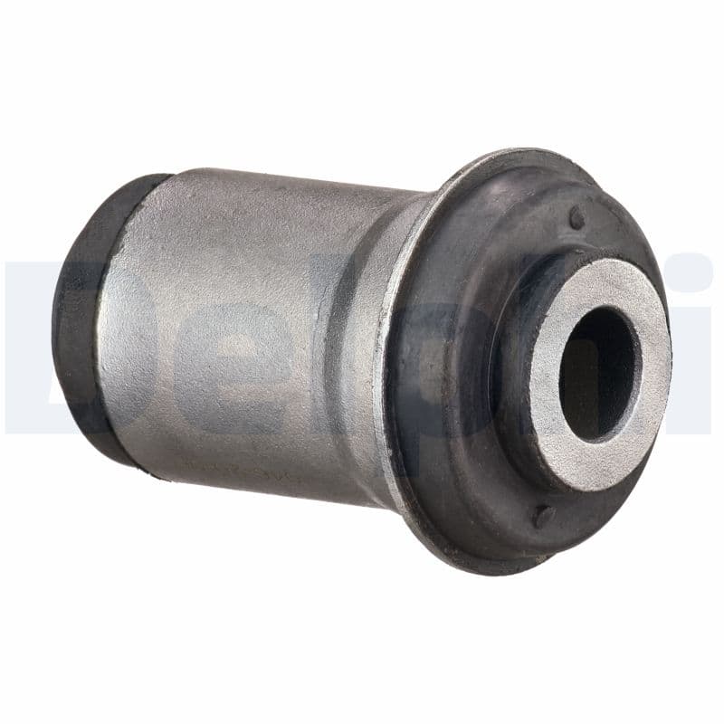 DELPHI Uloženie riadenia TD1764W 1