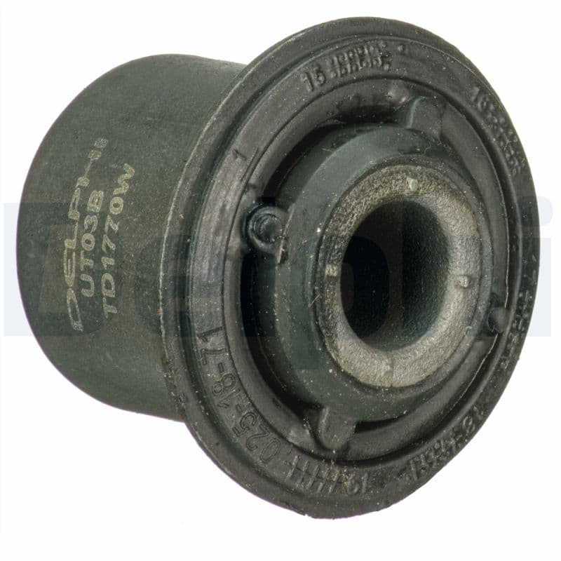 DELPHI Uloženie riadenia TD1770W 1