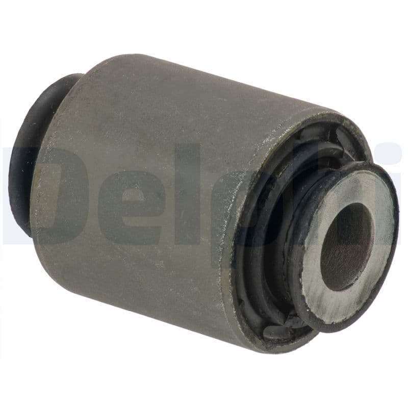 DELPHI Uloženie riadenia TD1773W 1