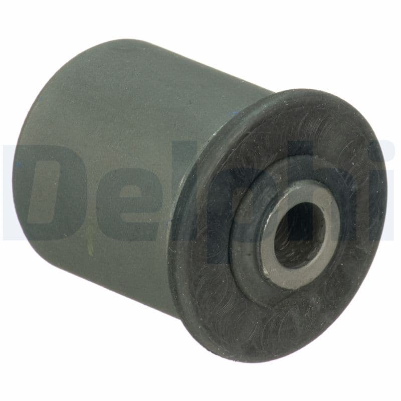 DELPHI Uloženie riadenia TD1777W 1