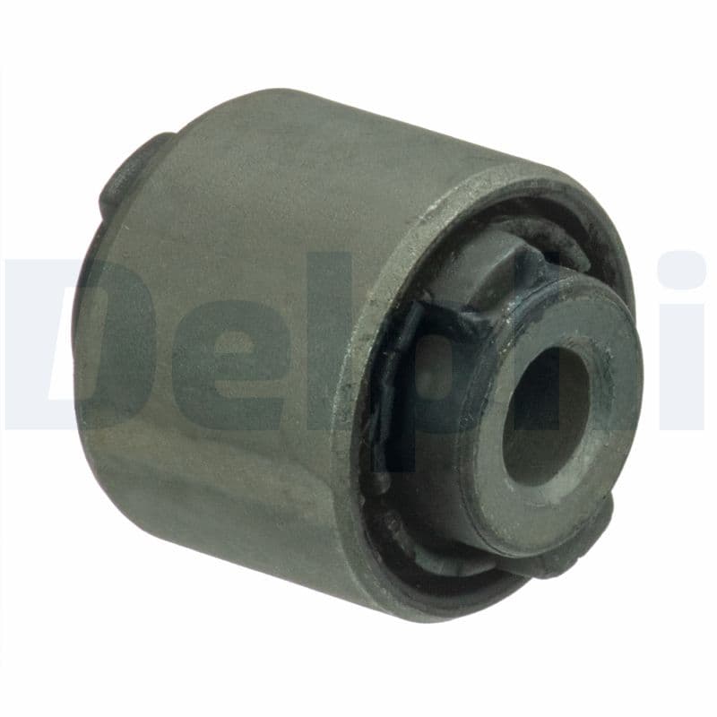 DELPHI Uloženie riadenia TD1793W 1