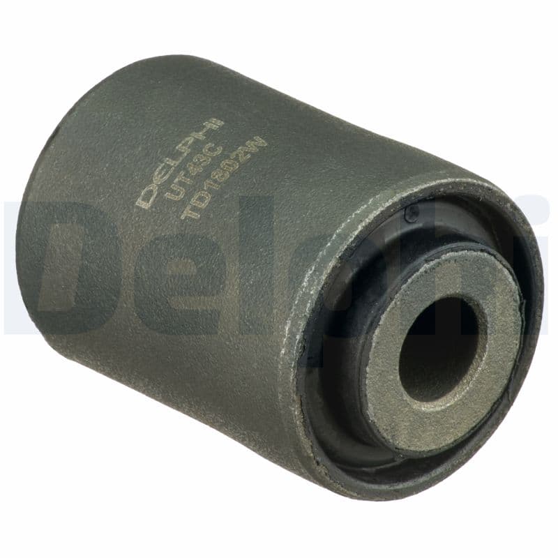 DELPHI Uloženie riadenia TD1802W 1