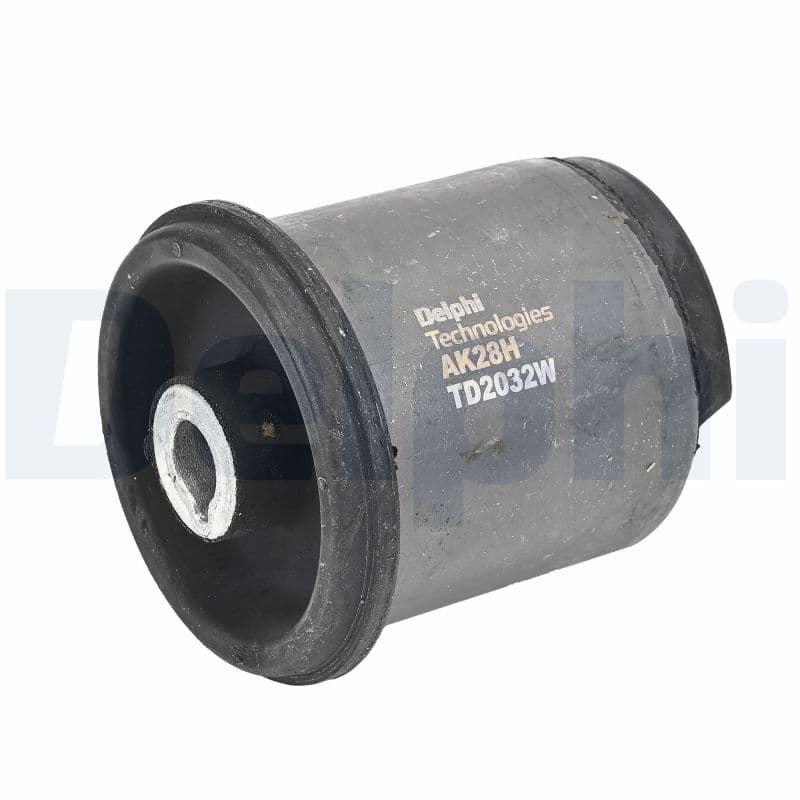 DELPHI Uloženie riadenia TD2032W 1