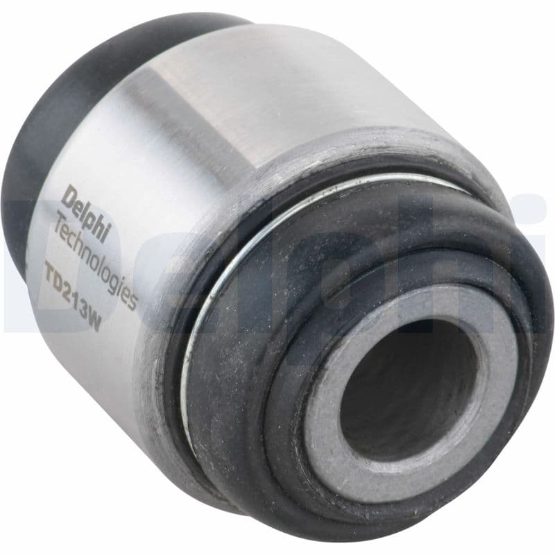 DELPHI Uloženie riadenia TD213W 1