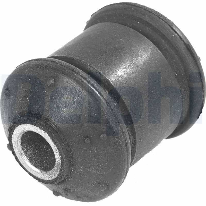 DELPHI Uloženie riadenia TD248W 1