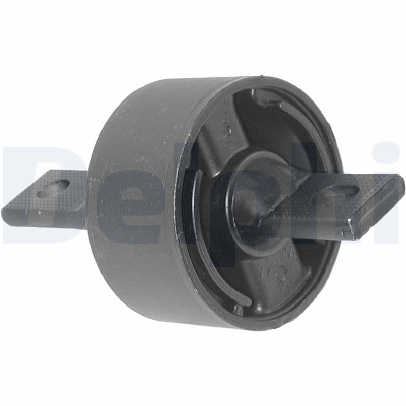 DELPHI Uloženie riadenia TD263W 1