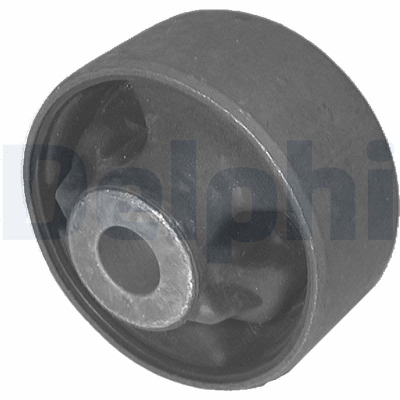 DELPHI Uloženie riadenia TD285W 1