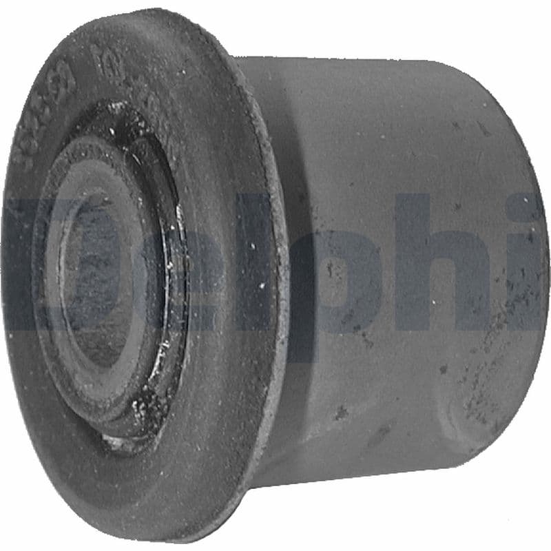 DELPHI Uloženie riadenia TD317W 1